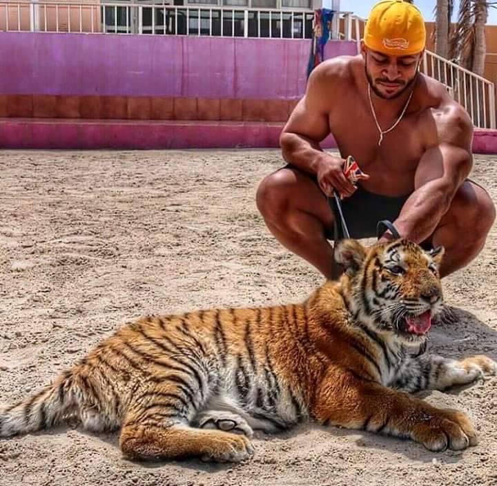 13318923 1224062507633944 2083843237 n