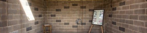 مصر تسمح بالاعتكاف وإقامة صلاة التهجد بالمساجد الكبرى رمضان المقبل 10 o RICHARD OMAR 570