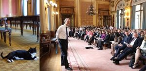 شاهد بالصور .. قط مثير للحسد بالخارجية البريطانية يظنون بأنه جاسوس 3 قط مثير للحسد بالخارجية البريطانية يظنون بأنه جاسوس1