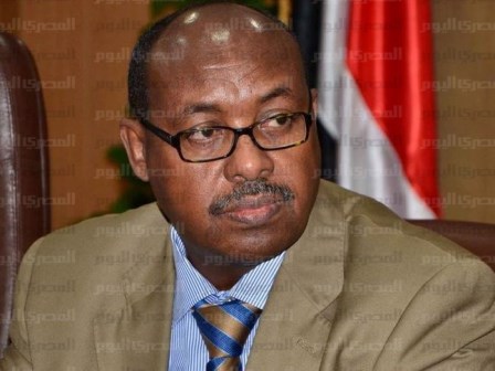 السفير الإثيوبي في القاهرة: وسائل الإعلام المصرية تفتقر إلى المصداقية في نقل أخبار سد النهضة 1 محمود