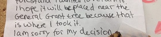 خطابات الحب بخط اليد أشد وقعاً .. الإيطاليون يعرفون 10 «حرامي» يشعل «فيس بوك» برسالة اعتذار إعادة المسروق2