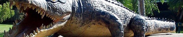 شجاعة مراهق تخلص صديقه من فك تمساح مفترس! 10 أكبر تمساح في العالم بأستراليا