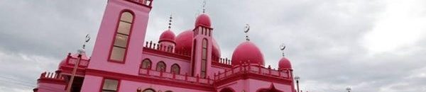 بالصور.. مسجد فريد من نوعه باللون الزهري في الفلبين3