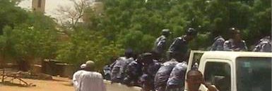 سريا الهندي بري الخرطوم