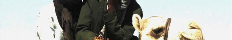 والي غرب دارفور يتعهد بفرض هيبة الدولة ومحاربة الجريمة 10 عمامة الكدمول من تراث اهل دارفور