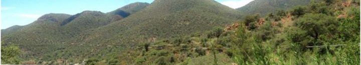 لقطة لمنظر طبيعي تربك مستخدمي الإنترنت