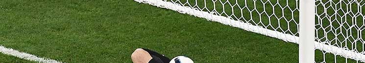 يورو 2016: حراس المرمى… بين العبقرية والإخفاق! 10 18qpt966
