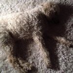 شاهد.. بالصور تطابق الحيوانات مع الأثاث تثير ضجة عبر الإنترنت 2 4