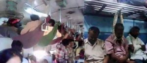 شاهد بالصور.. أشخاص تحدوا المستحيل بأطرف الصور 3 أشخاص تحدوا المستحيل بأطرف الصور1