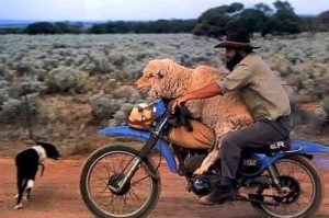 شاهد بالصور.. أشخاص تحدوا المستحيل بأطرف الصور 5 أشخاص تحدوا المستحيل بأطرف الصور3