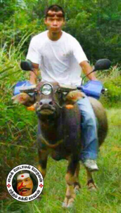 شاهد بالصور.. أشخاص تحدوا المستحيل بأطرف الصور 1 أشخاص تحدوا المستحيل بأطرف الصور6