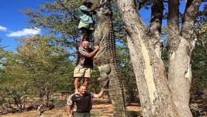 بالصورة .. العثور على تمساح ضخم بطول ثلاثة رجال! 2 تمساح ضخم