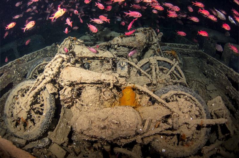 شاهد صور مذهلة لسفينة بريطانية غرقت في البحر الأحمر منذ 75 عاما 2 صور مذهلة لسفينة بريطانية غرقت في البحر الأحمر منذ 75 عاما