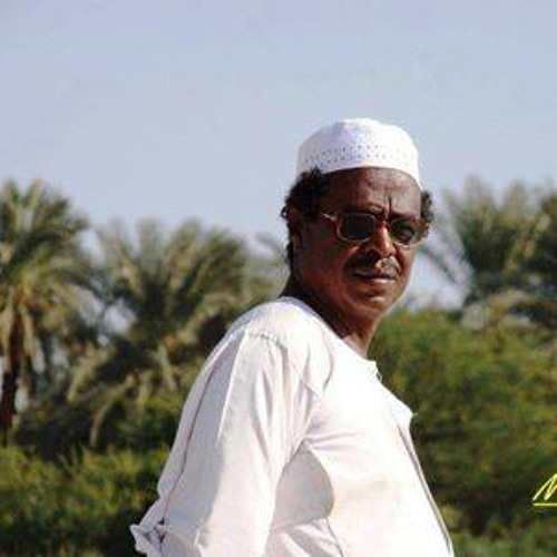 ﺣﻤﻴﺪ...شاعر الوطن 1 محمد الحسن سالم حميد