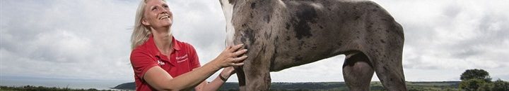 بالفيديو .. كلب يترنح بعد تناوله مخدرات بالخطأ 10 اطول كلب في العالم