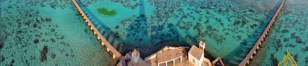 السودان يستثمر في موانئ جديدة بالبحر الأحمر 10 سنجنيب