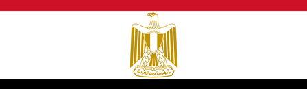 وسائل الإعلام بمصر.. ترقب وارتباك في تغطية المظاهرات 11 علم مصر