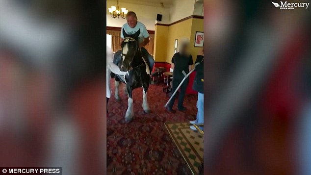 شاهد بالصور .. عجوز يقتحم مطعما فى بريطانيا على ظهر حصان 1 36697FA800000578 3697328 image a 29 1468931829325