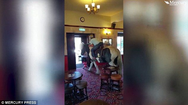 عجوز يقتحم مطعما فى بريطانيا على ظهر حصان