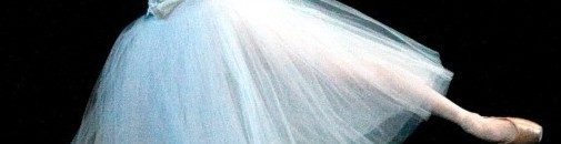 قبل إجهاضها .. هذا ما حصل مع الراقصة "غزل" قبل وفاتها 10 Professional dance tulle dress font b ballet b font font b tutu b font font b