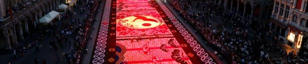 لماذا السجادة الحمراء للمهرجانات دائماً... حمراء؟ 10 أكبر سجادة من الزهور في العالم3