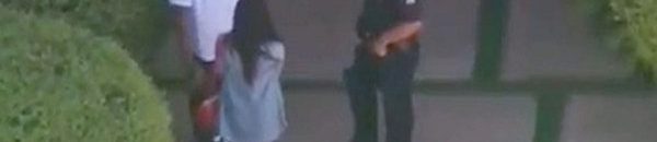 اعتقال مراسل خلع بنطاله أمام مغنية: صاحب «أسيادنا راضيين عليك» الأمريكية 10 اعتقال المغني الأمريكي كريس براون