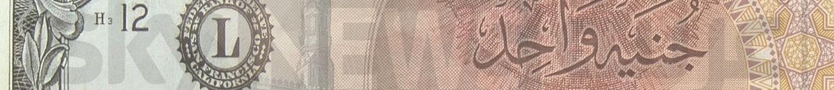 ماذا يعني تعويم العملة الوطنية؟ مصر نموذجا 10 جنية مصري