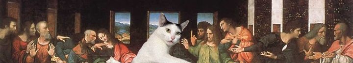 شاهد بالصور.. قطة تحرج نفسها تثير ضجة كبيرة على الإنترنت 13 قطة تحرج نفسها تثير ضجة كبيرة على الإنترنت