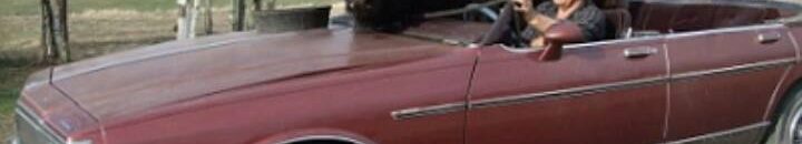 لقطات صادمة لأشخاص يتنزهون مع حيوانات مفترسة1