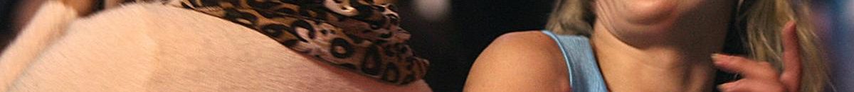 تعرفى على شخصيتك على فيسبوك بحسب الأبراج 10 1 868823