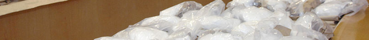 الشرطة تضبط 11 كيلو كوكايين داخل أحشاء المتهمين 10 1 871065