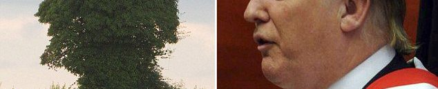 بالفيديو.. أطرف رد فعل لقطة أثار «ترامب» ذعرها 10 36BE844300000578 0 image a 8 1469965407997