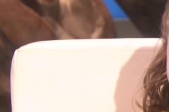 820161135315526 e1689065278949