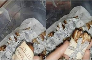 Image processed by CodeCarvings Piczard ### FREE Community Edition ### on 2016-08-08 20:23:16Z |  | ÿutxÿvuyÿxw{ÿ¿¢åÙy