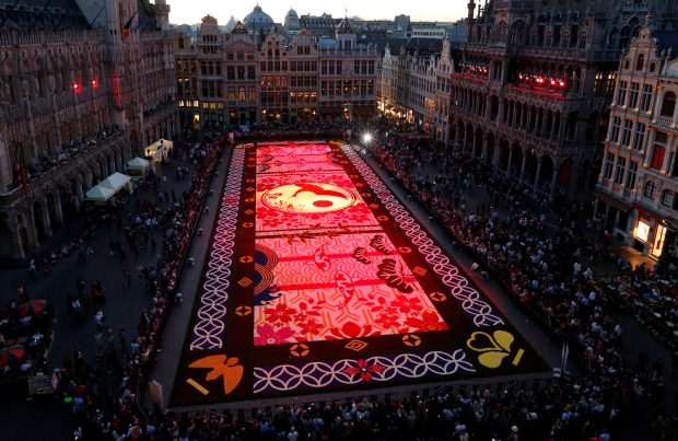 لماذا السجادة الحمراء للمهرجانات دائماً... حمراء؟ 1 أكبر سجادة من الزهور في العالم3