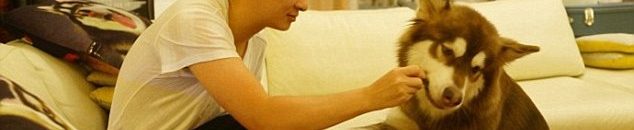 بالصور .. إنجليزى يحول وجهه لرأس كلب بهدف الشهرة.. واستياء بين رواد "فيس بوك" 10 ابن ملياردير صيني يشتري ثمانية أجهزة آيفون 7 لكلبه4