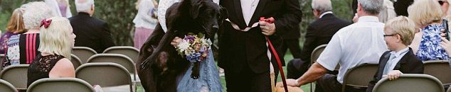 بالفيديو.. عريس "يركل" عروسه في وجهها خلال حفل الزفاف 10 عروس تفاجئ المدعوين بعمل إنساني1