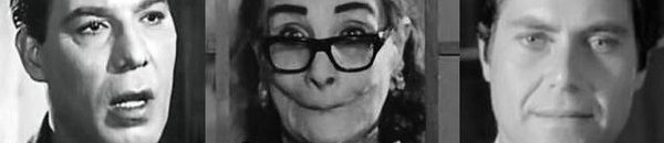 هل تصدق أن هؤلاء النجوم ليسوا من أصول مصرية؟