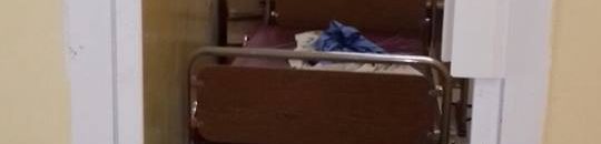 14457369 831241883679029 1559298492506043682 n