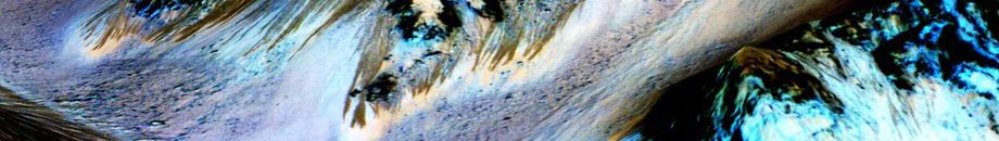 شاهد بالفيديو.. لقطات غريبة لثعبان على سطح المريخ 10 16693136 06fd 4820 9d46 115011539433