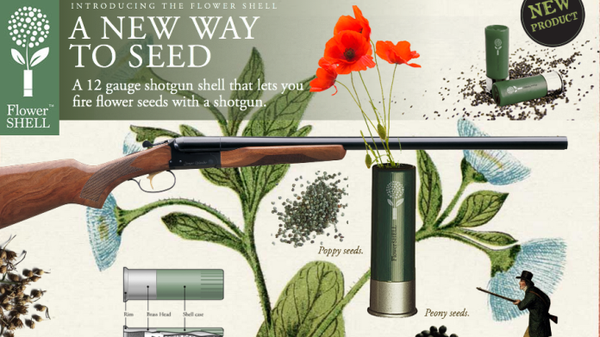 2f6fbf59 50a1 4671 a29b