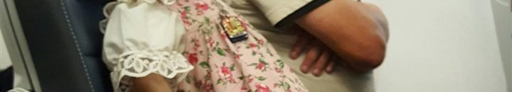 5 مواقف «غريبة» تسببت في هبوط طائرات اضطراريًا .. الخيانة الزوجية ليس الأغرب 10 958