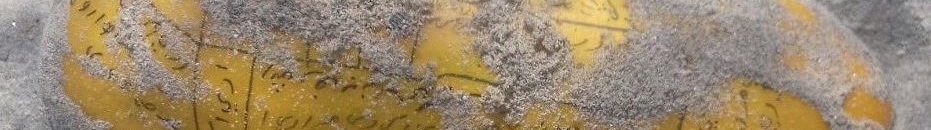 العثور على جسم غريب لفظه البحر إلى الشاطئ.. ماذا وجد بداخله!! 10 جسم غريب في البحر