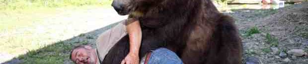 اصطنع الموت إذا هاجمك دب واضرب القرش على أنفه.. 5 خرافات قد تسبب وفاتك 10 دب