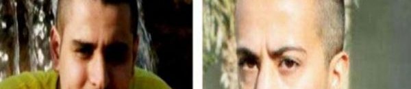 11114411 v2 xlarge 600x393