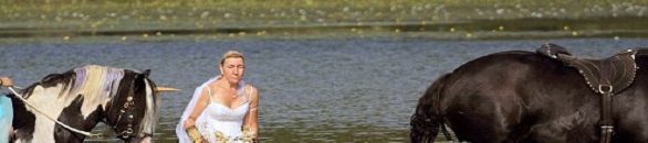 بالفيديو .. سقوط حصان يحمل عروسين لحفل زفافهما 10 824 1