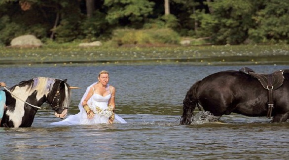 بالفيديو .. سقوط حصان يحمل عروسين لحفل زفافهما 1 824 1