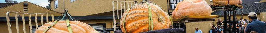 ثلاث وجبات والنَّوم المبكِّر والتفاؤل.. سر الـ124 عامًا في عمر «تشيو تشايشي» - صورة 11 ae0f008e 21ff 457e bd0f 4d64b08e208e