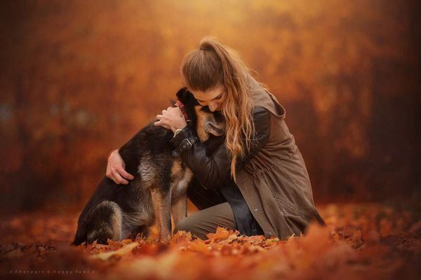 autumn dog photography anne geier 31