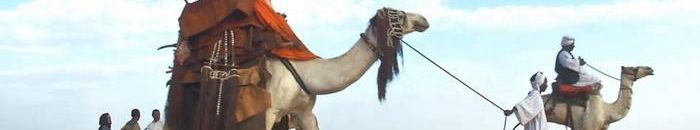 طرح (4) مربعات للاستثمار فى التعدين بشرق دارفور 10 الهودج السودان غرب كردفان دارفور السودان